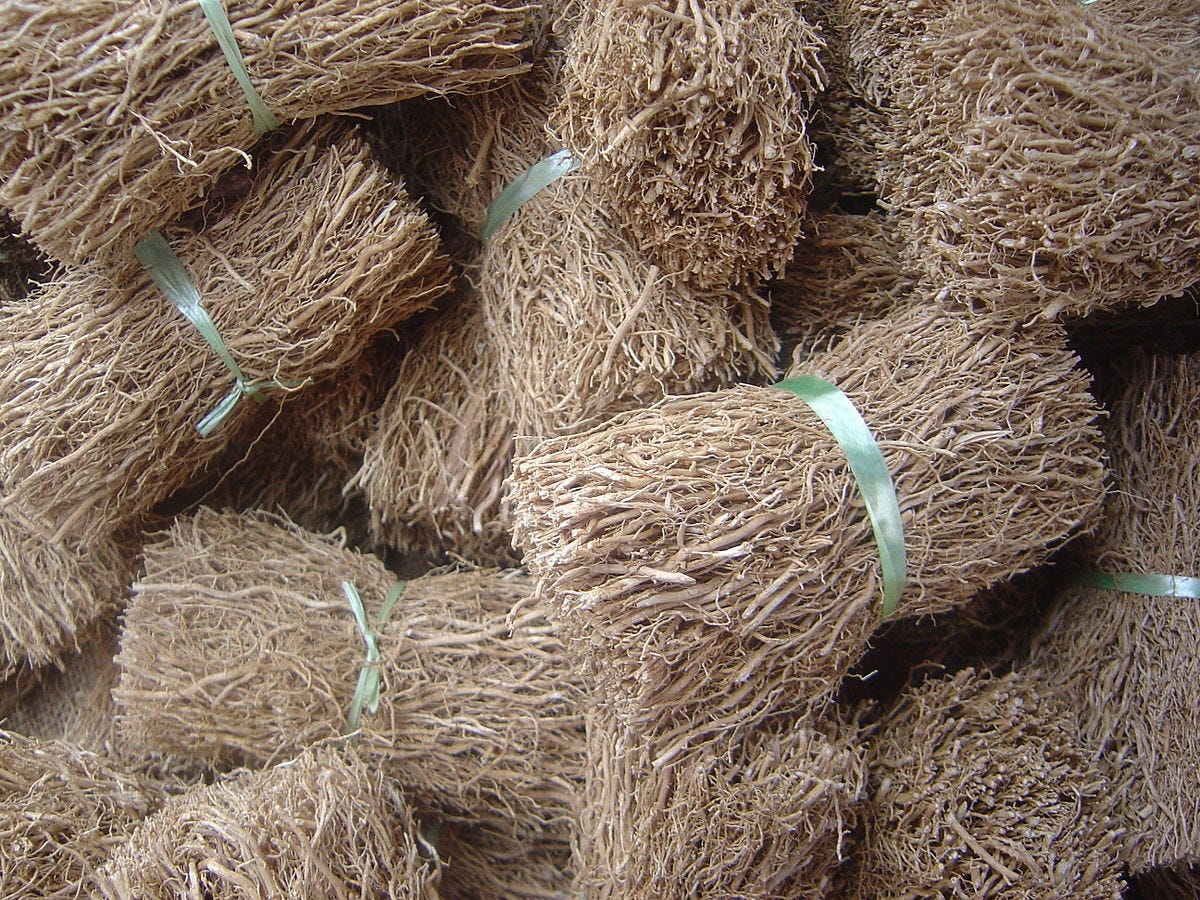 岩蘭草 Vetiver 法蘭奇 Medium