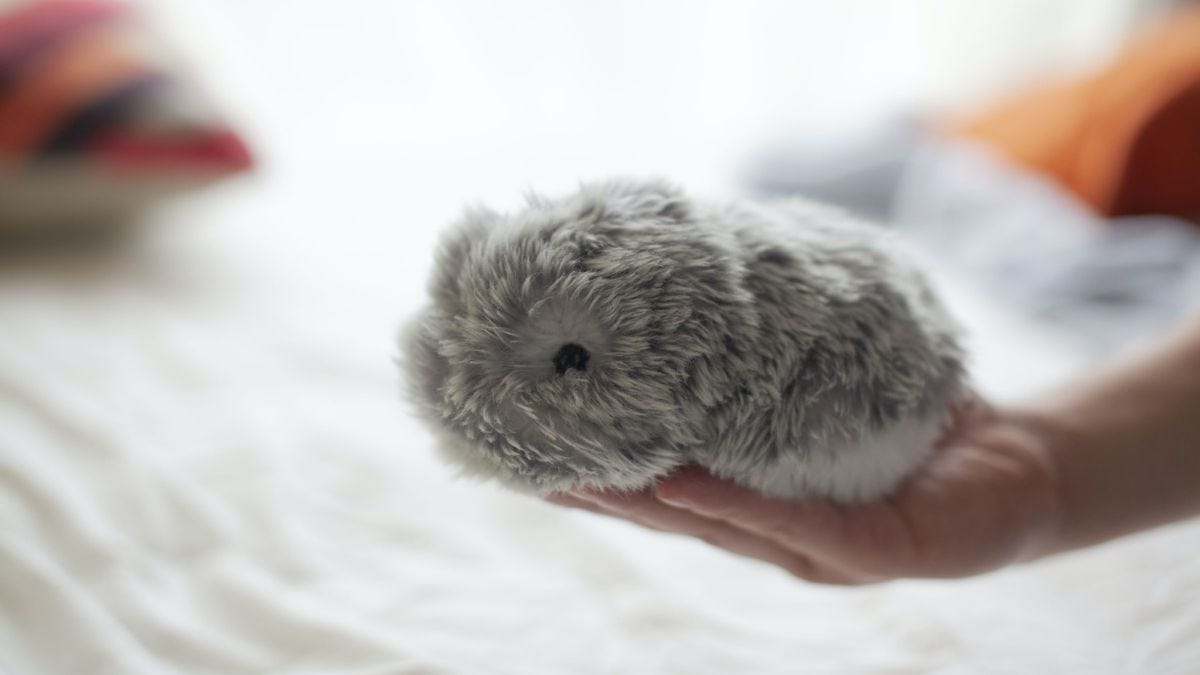 ai robot pet