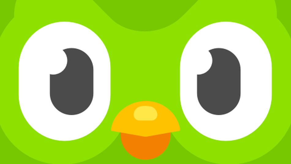Duolingo Needs to Chill. Enough with the passive-aggressive… | by Angela  Lashbrook | Debugger