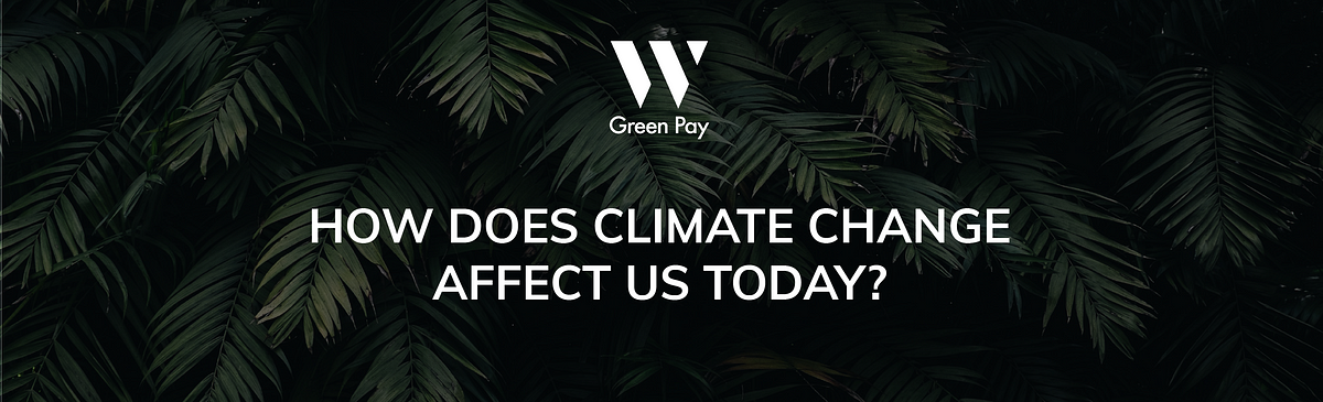 How does climate change affect us today? | by W Green Pay | WGreenPay