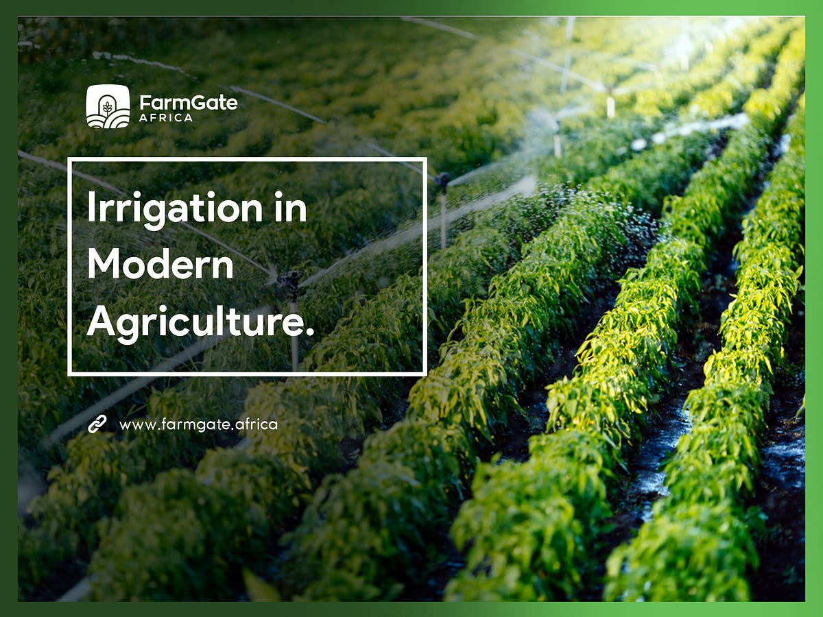 Irrigation In Modern Agriculture Following The Climate Change And The By Farmgate Africa Medium