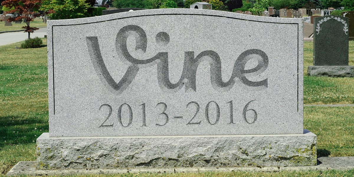 Who Killed Vine? What Could&#39;ve Saved It? | by Tristan Snell | Medium