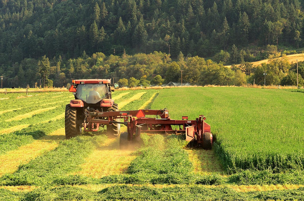 Solar Exploding Across the Texas Plain | by Elements Capital Group | Medium