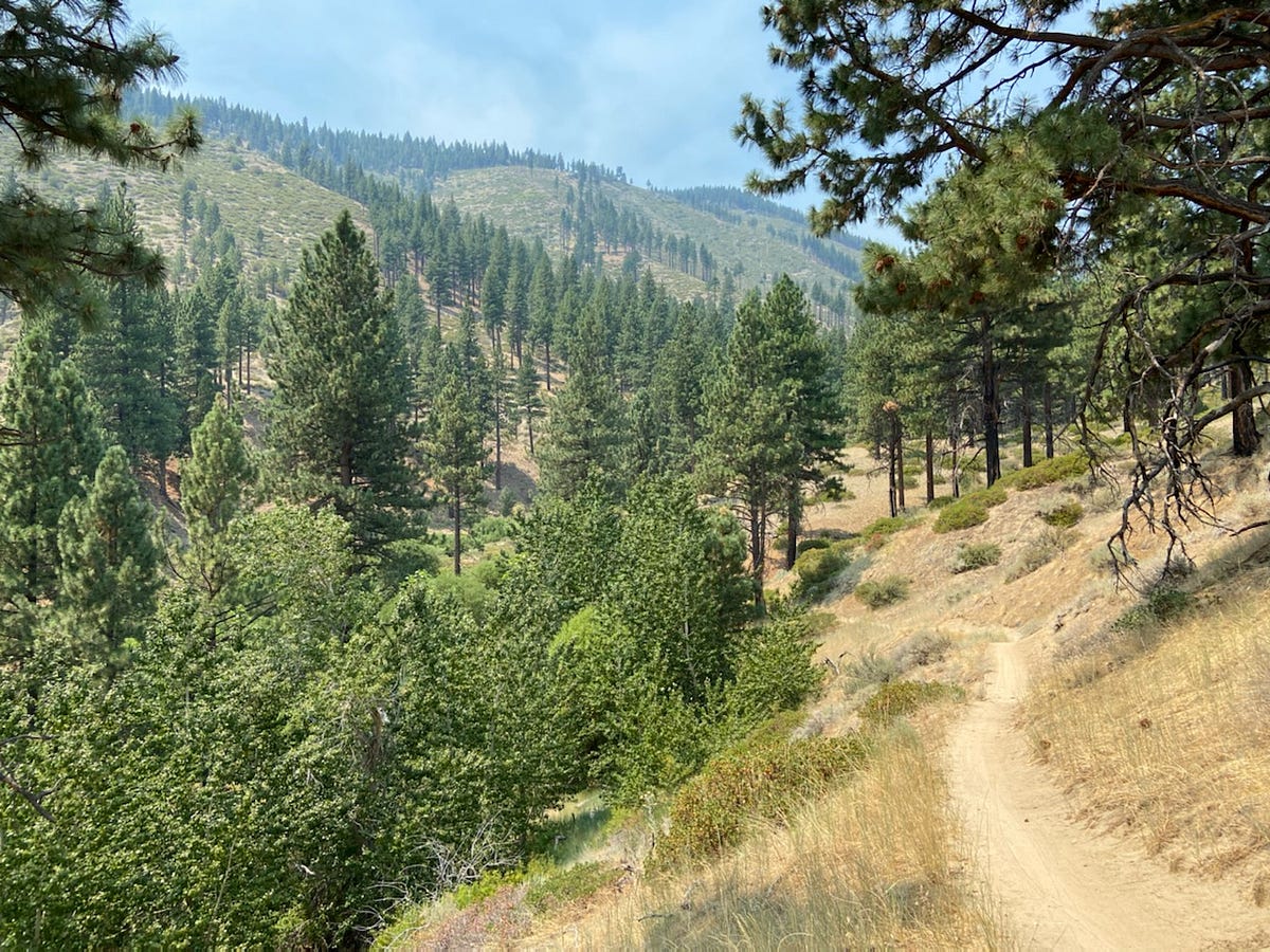 A Smoky Walk Next To Ash Canyon Creek 