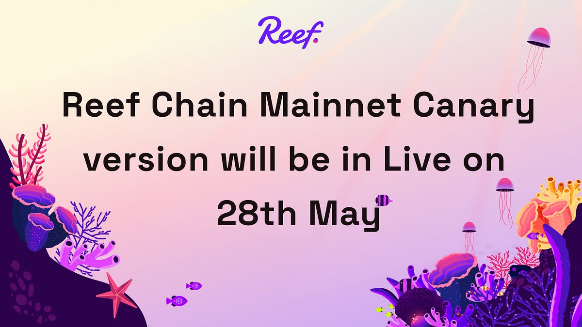 Reef Chain the DeFi Blockchain Launch