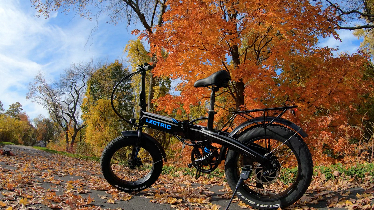lectric electric bike