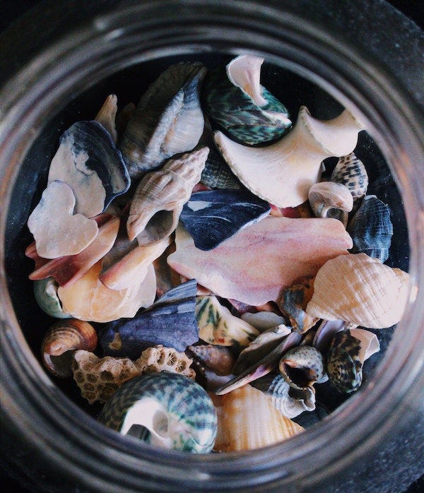 A jar with colorful shells. 