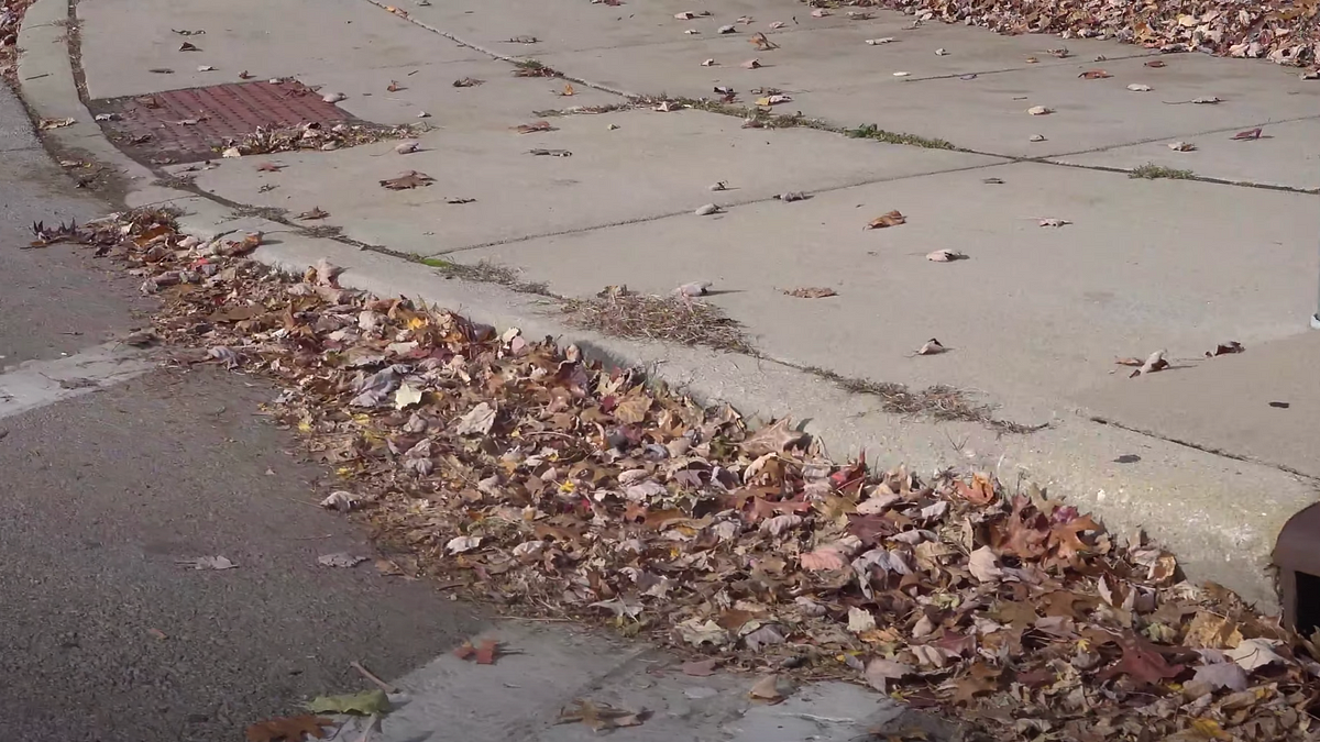 City of Toledo 2021 leaf collection schedule announced by Jaden