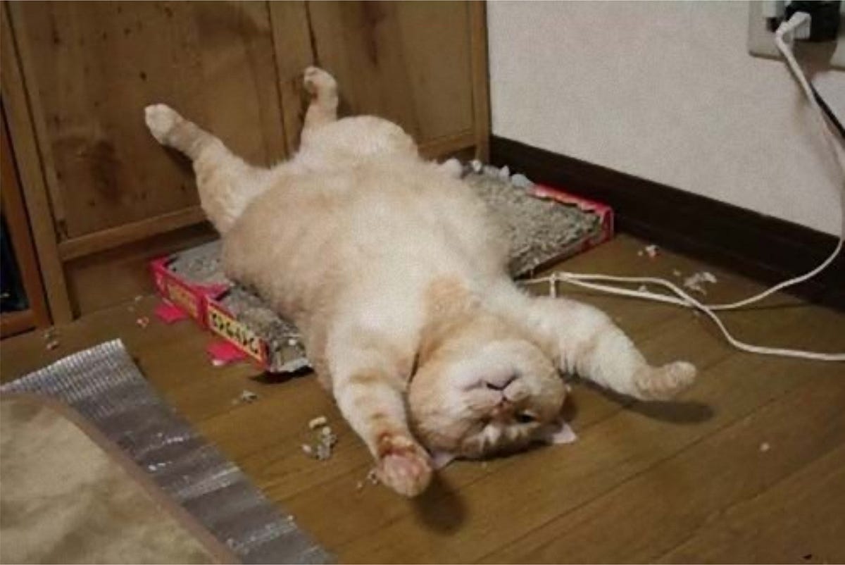 Kucingku Tak Lagi Buas; Analisis Framing Kucing yang Tadinya Hidup di