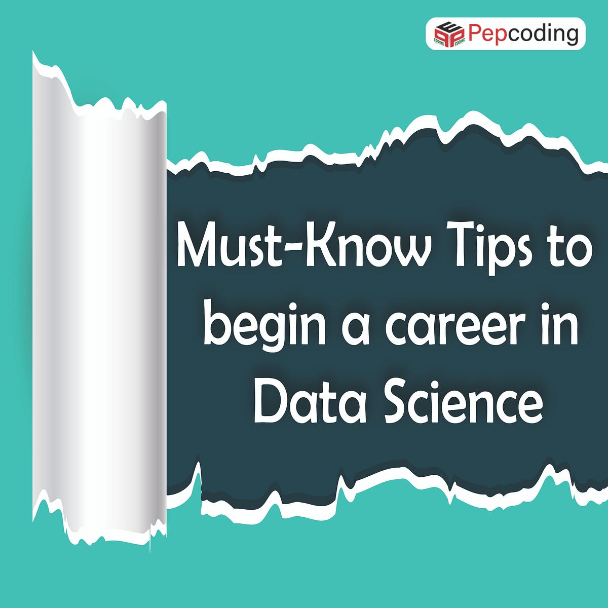 Must know tips to begin a career in data science by pepcoding dec