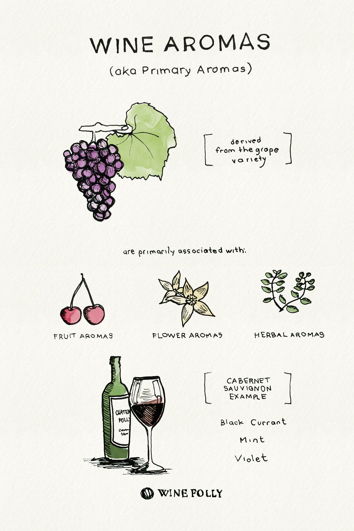Aroma vs Bouquet in Wine. Subtle differences in the language of… by