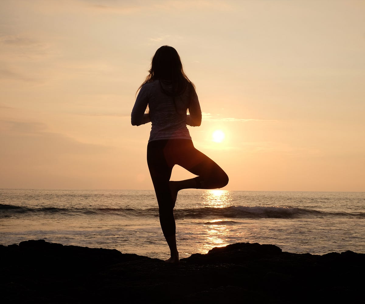 Train Your Body, Train Your Mind. We all know that getting into shape ...