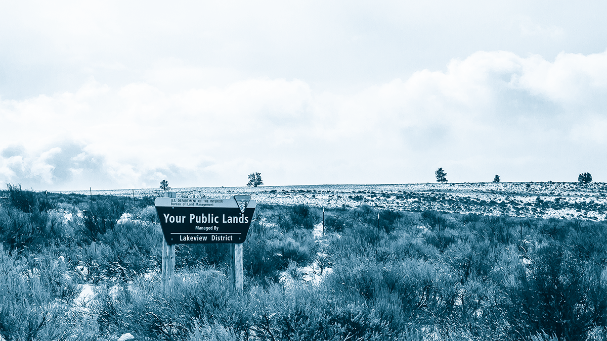 Cutting the Public Out of Public Lands