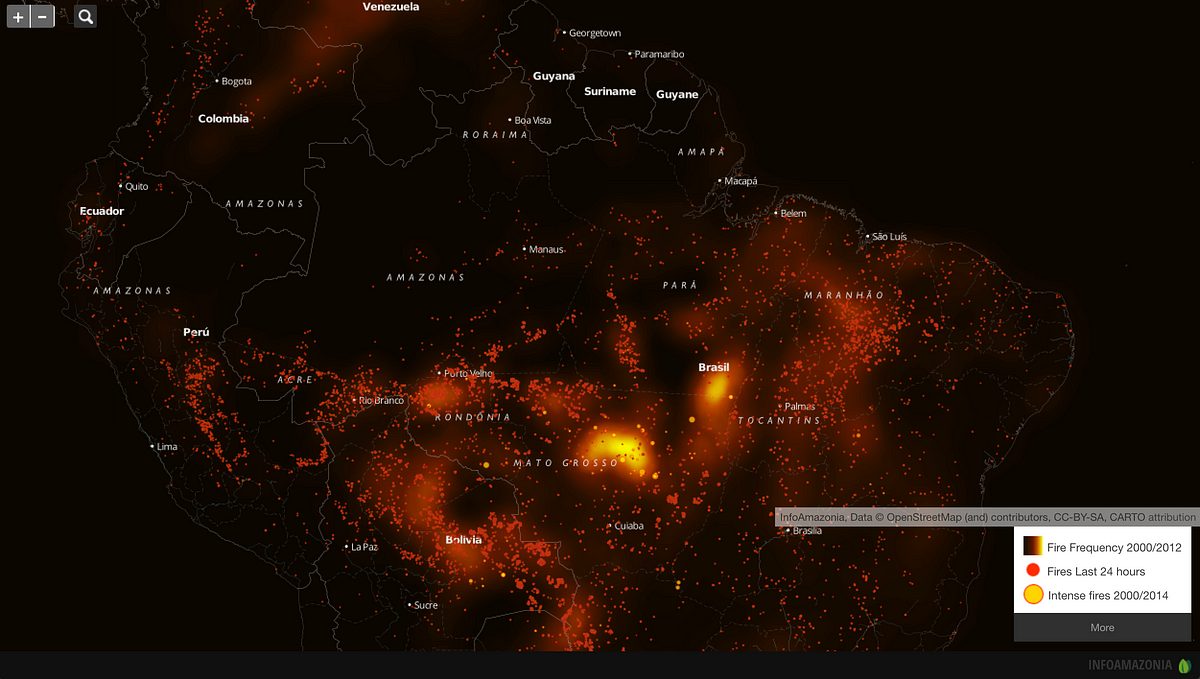 Map of fire frequency and intensity across the Amazon basin