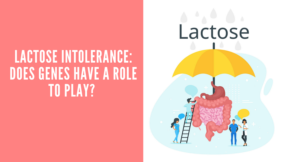 Lactose Intolerance Do Genes have a role to Play? by Sushant Kumar Medium