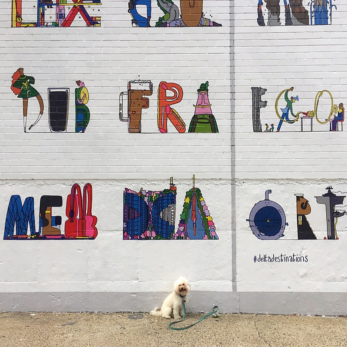 Why The United States Needs A Dog Certification Policy By Michelle why-the-united-states-needs-a-dog-certification-policy-by-michelle
