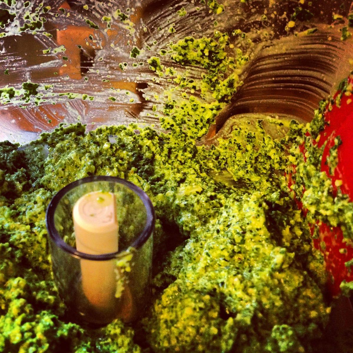 Recipe 126 Kale Pesto. Before Justin broke the food processor by