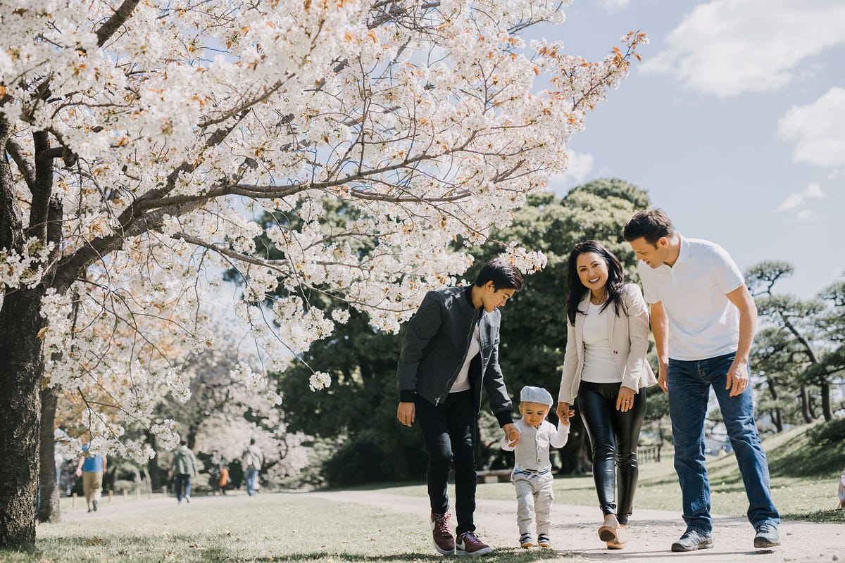 Download Marvel At The Beauty And Meaning Of The Cherry Blossom By Shoot My Travel Medium HD Wallpaper Marvel At The Beauty And Meaning Of The Cherry Blossom By Shoot My Travel Medium Desktop Wallpaper Free