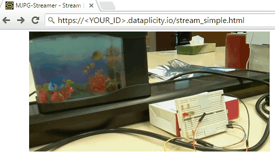 Stream live videos from Raspberry Pi on the internet | by Radoslaw Kieltyka  | dataplicity