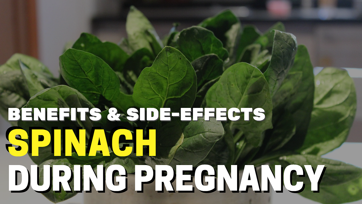 Eating Spinach During Pregnancy Benefits and SideEffects by Untold