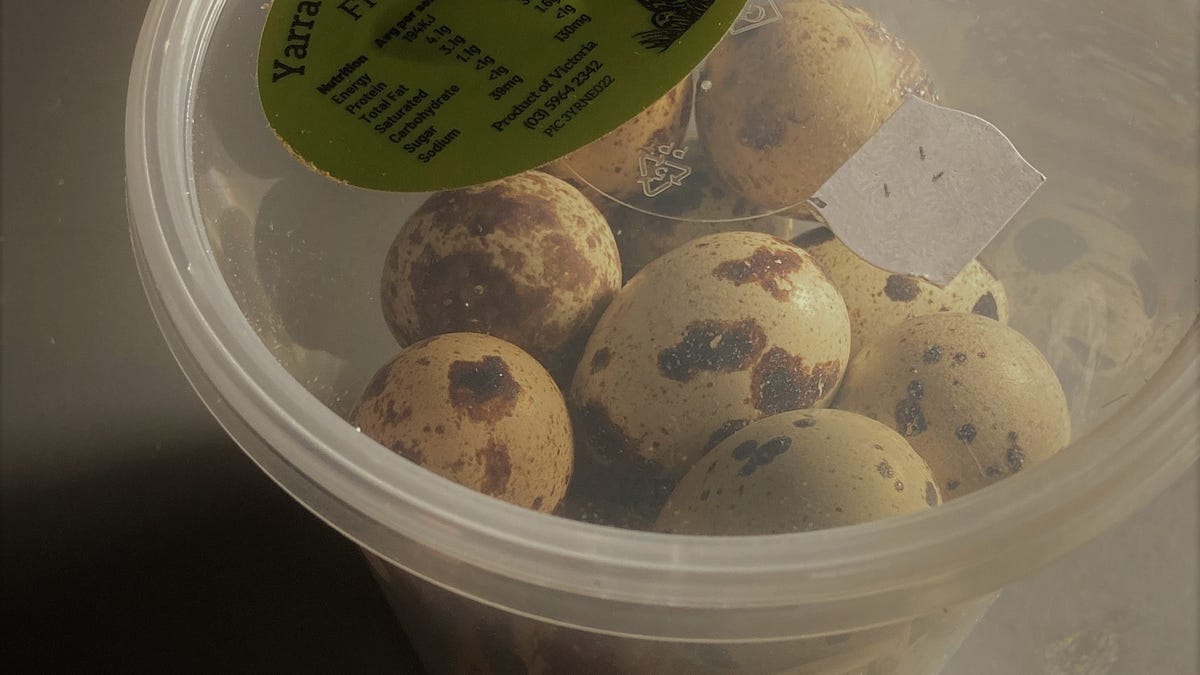 Craving chocolate I bought quail eggs | by Elwyn Crawford | Jan, 2023