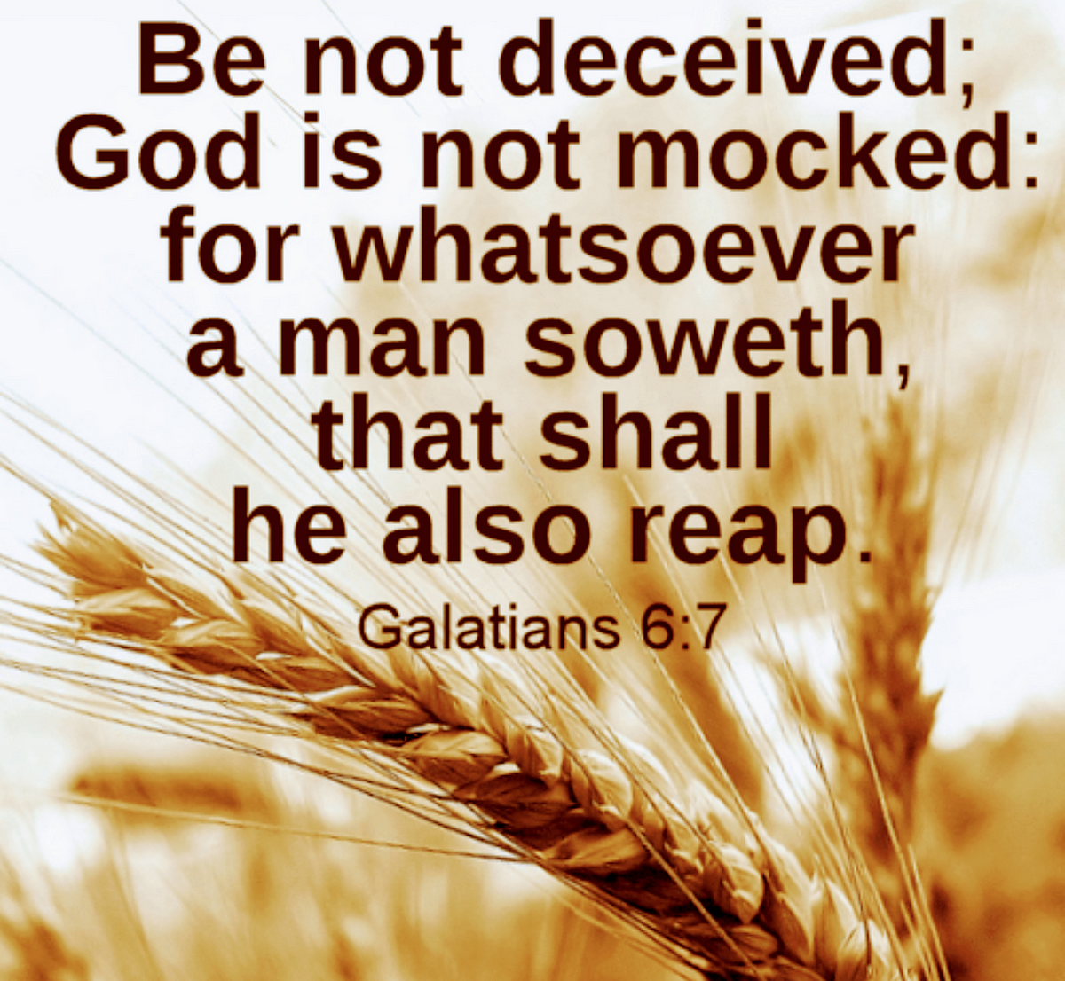 Be not deceived; God is not mocked: for whatsoever a man soweth, that shall he also reap. | by Keith McGivern | Medium