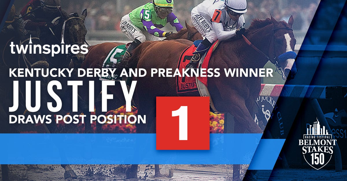 Kentucky Derby and Preakness Stakes Winner Justify Horse Profile by