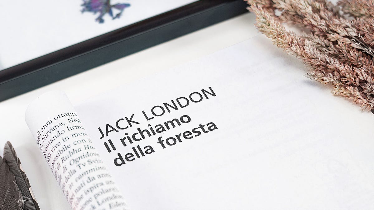 3 cose su cui mi ha fatto ragionare Il Richiamo della Foresta — anche