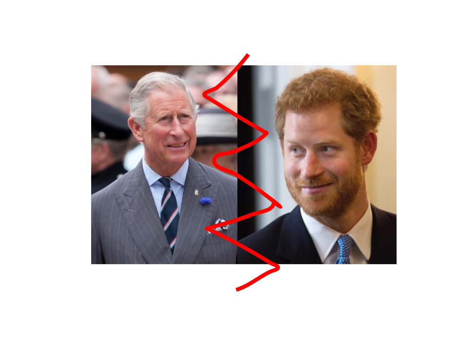 New World University: Prince Charles is not Prince Harry's ...