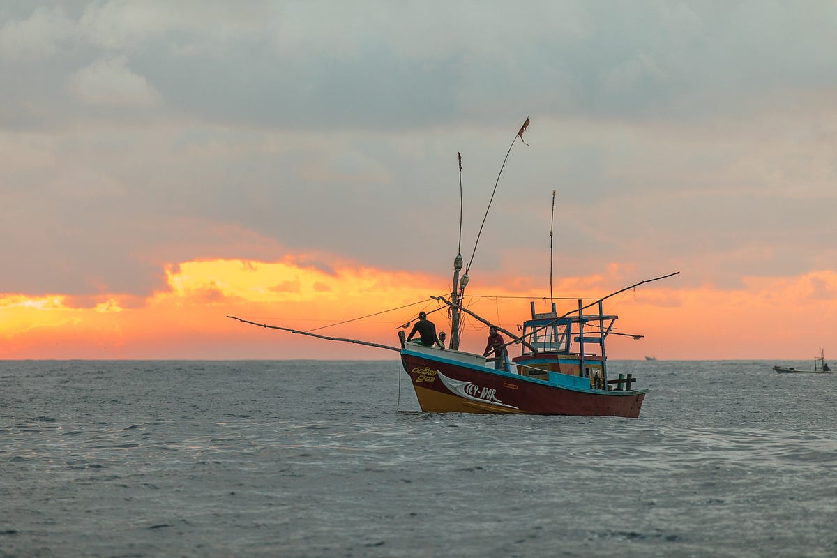 Is a trawler fishing? Modelling the Global Fishing Watch dataset