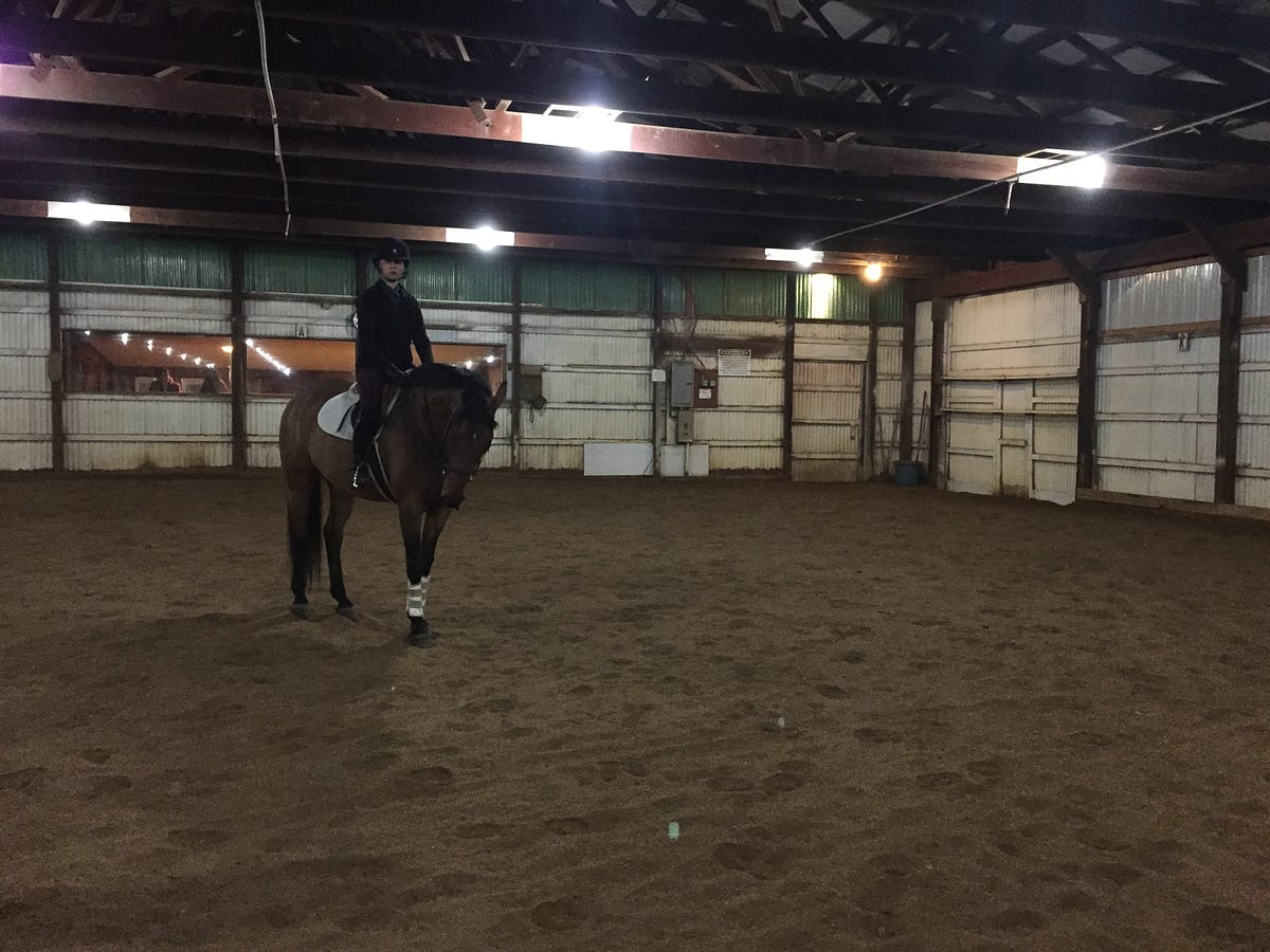 Kent State Equestrian Team. Kent State University offers many… by