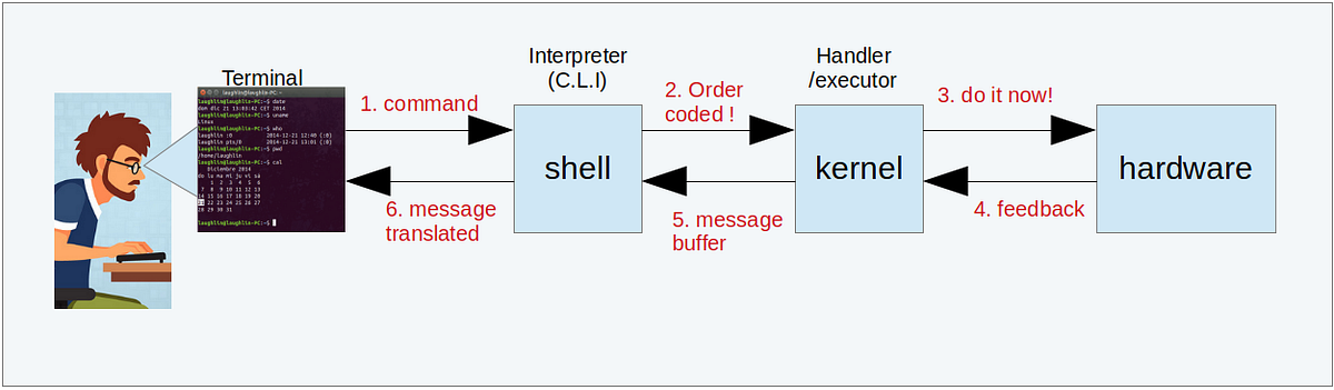 What happens when you type “ls -l” in the shell ? | by Ronnie Barrios ...
