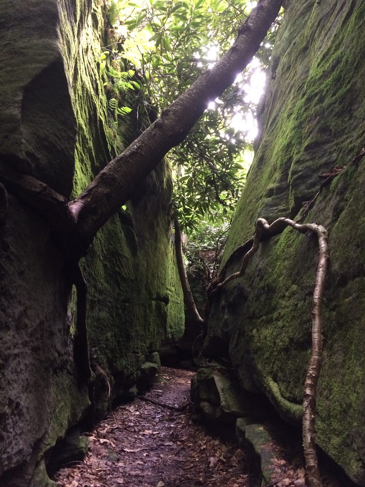 Mystical Rocks. At the trailhead | by Jannon Elisabeth | Medium