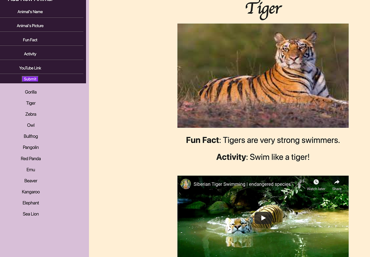 How to Embed YouTube Links with JavaScript | JavaScript in Plain English