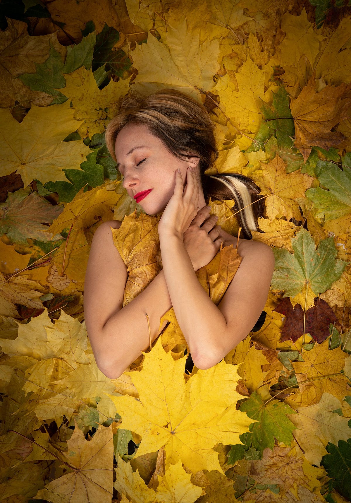 while-she-sleeps-why-i-will-not-rake-my-leaves-by-pj-jackelman-the