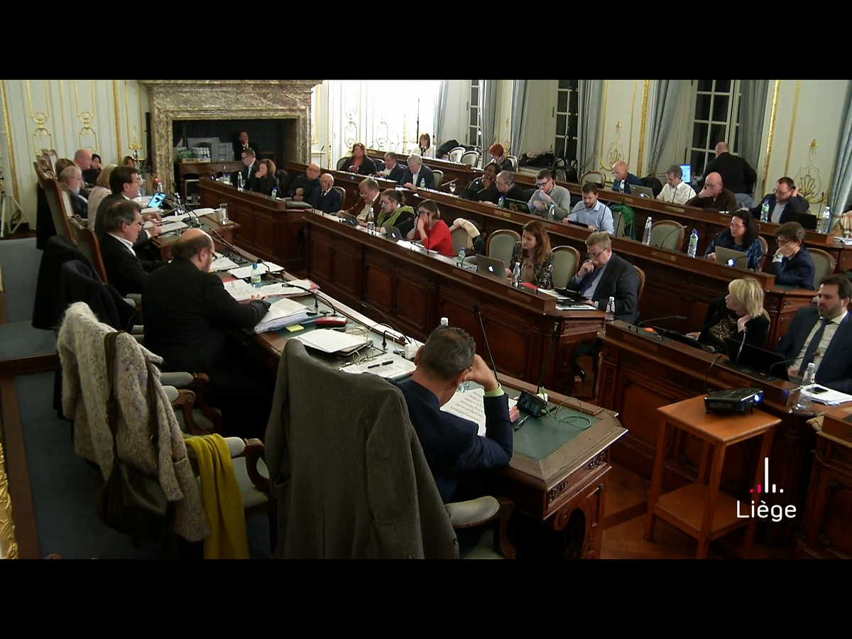 CONSEIL COMMUNAL LI GE visual data 2