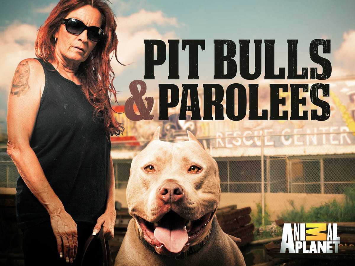 Watch Pit Bulls and Parolees Season 17 Episode 3 (s17e3) Online Pit Bulls.....