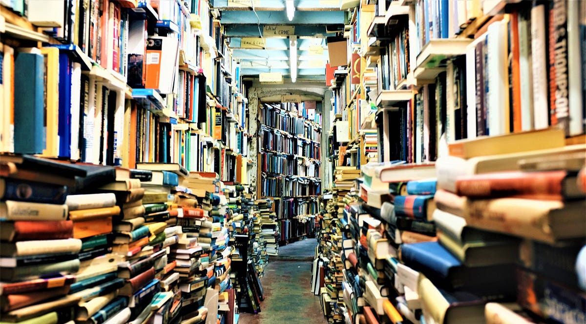 How Important Is Education to Living a Successful Life?