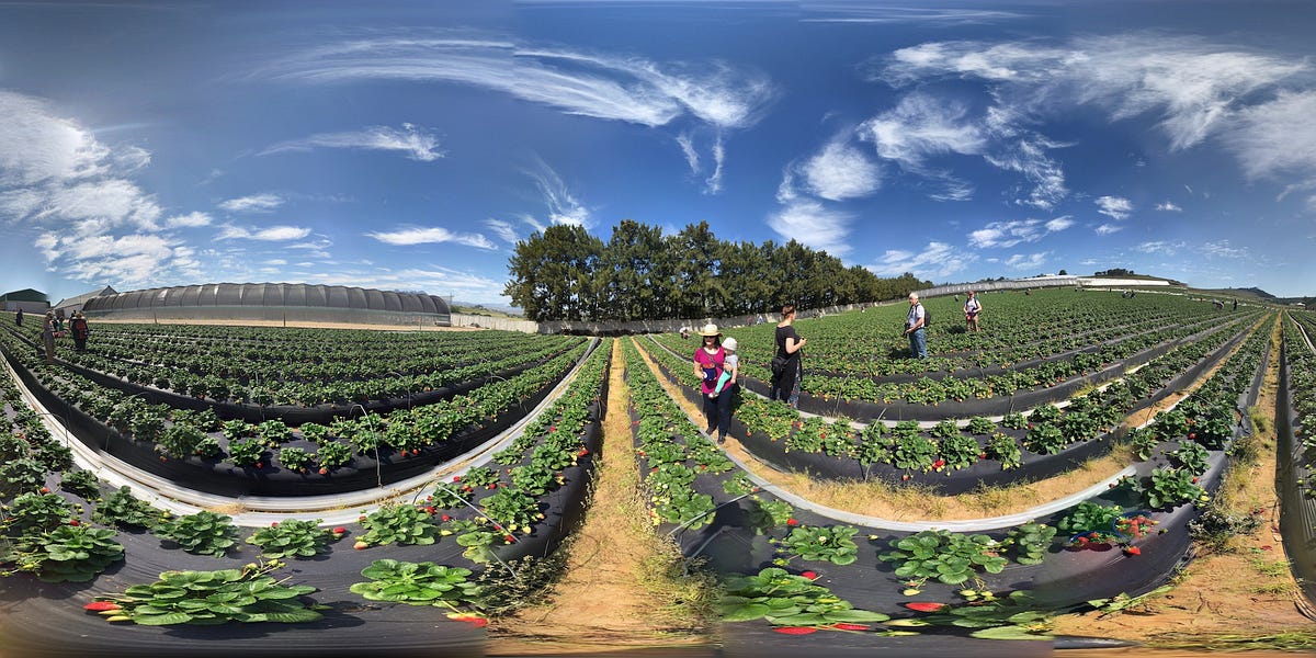 360° Photo Tips for Google Street View | by Willem van Zyl | Medium