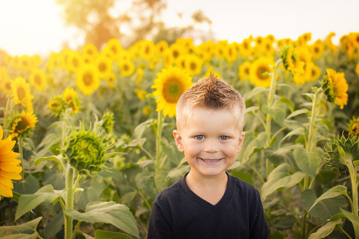 sunshine-in-early-spring-what-does-sunshine-bring-with-it-by-pierre