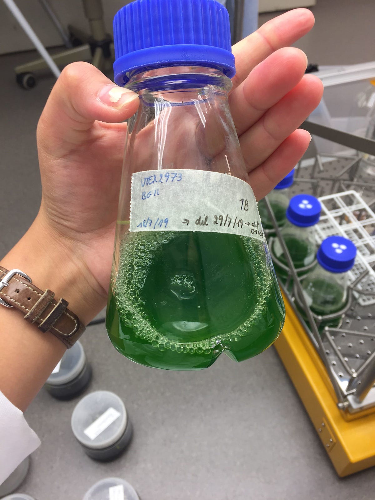 Interview Series Wet Lab Spotlight by KU Leuven iGEM Medium