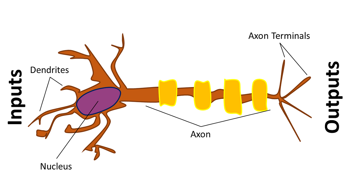 What is an artificial neuron and why does it need an activation function?