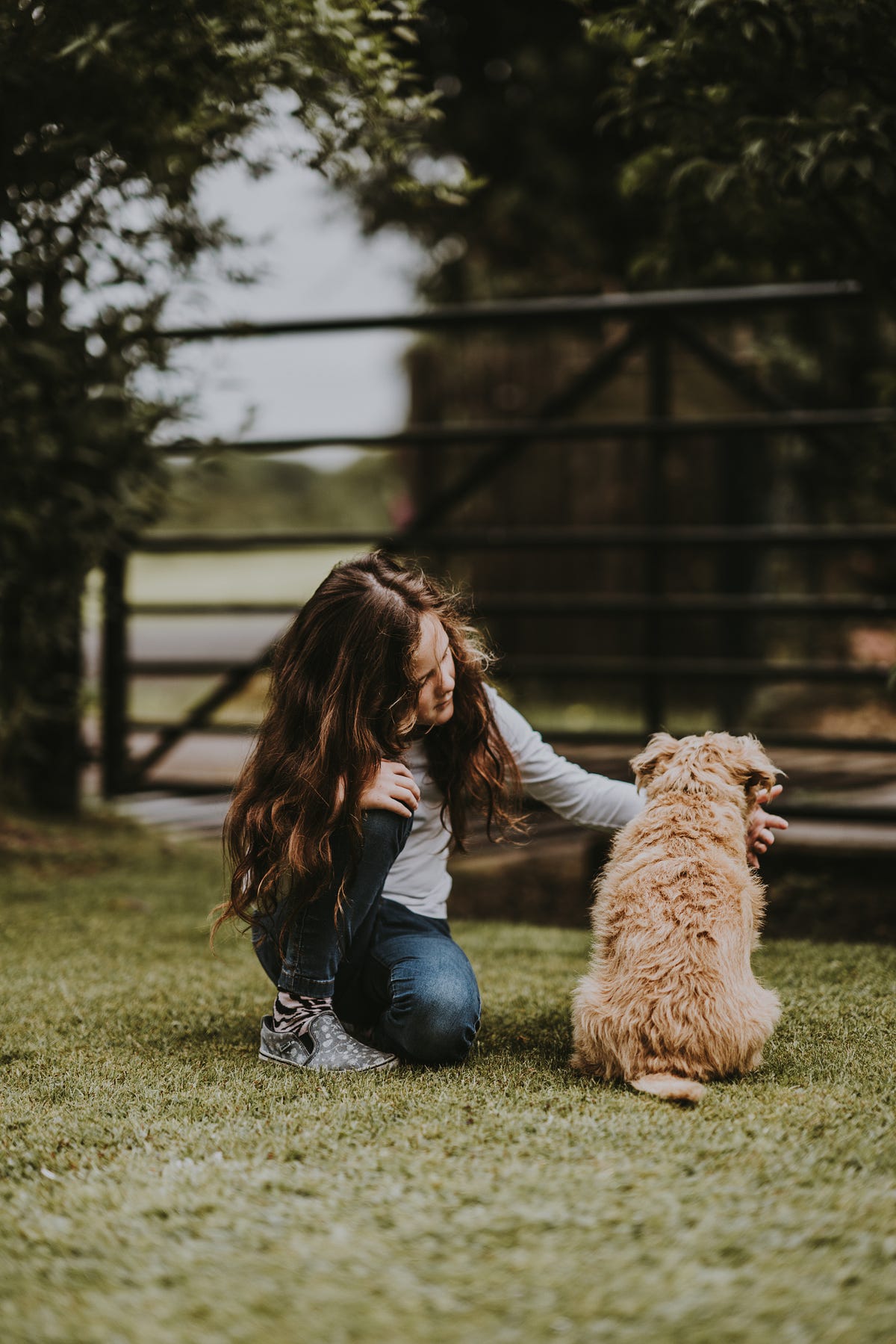 Stop Kicking the Dog Getting to the root of a challenging behavior