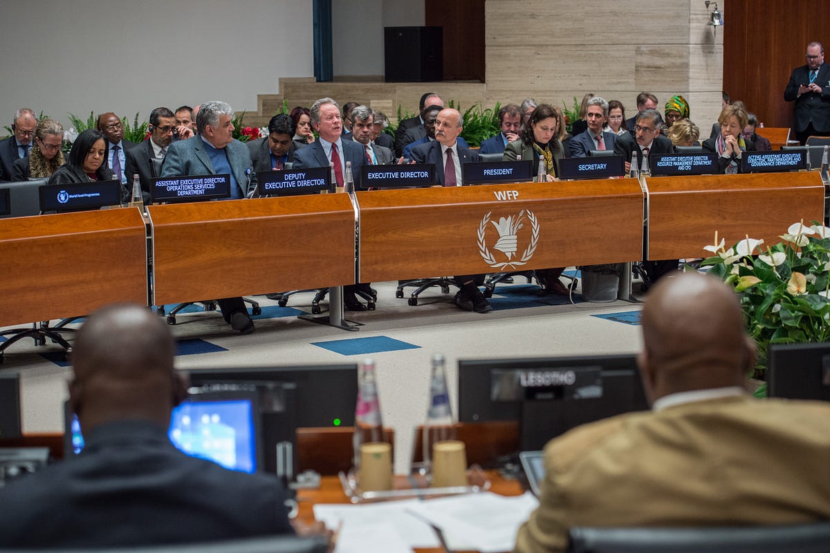 Opening remarks by the Executive Director to the first session of the