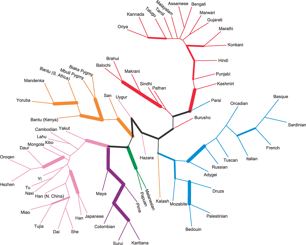 Neural Architecture Transfer