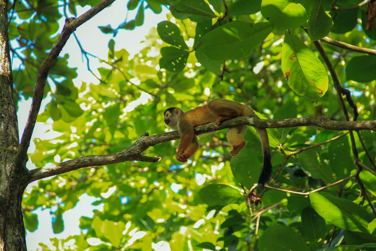 3 Weeks In Costa Rica Our 3 Weeks Itinerary In Costa Rica By Samira 
