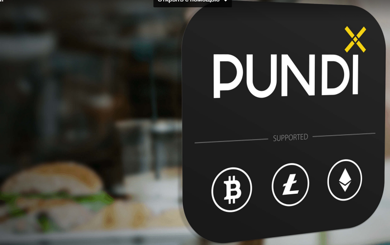 PUNDI X — overview of the investment project | by Sofiya | Medium