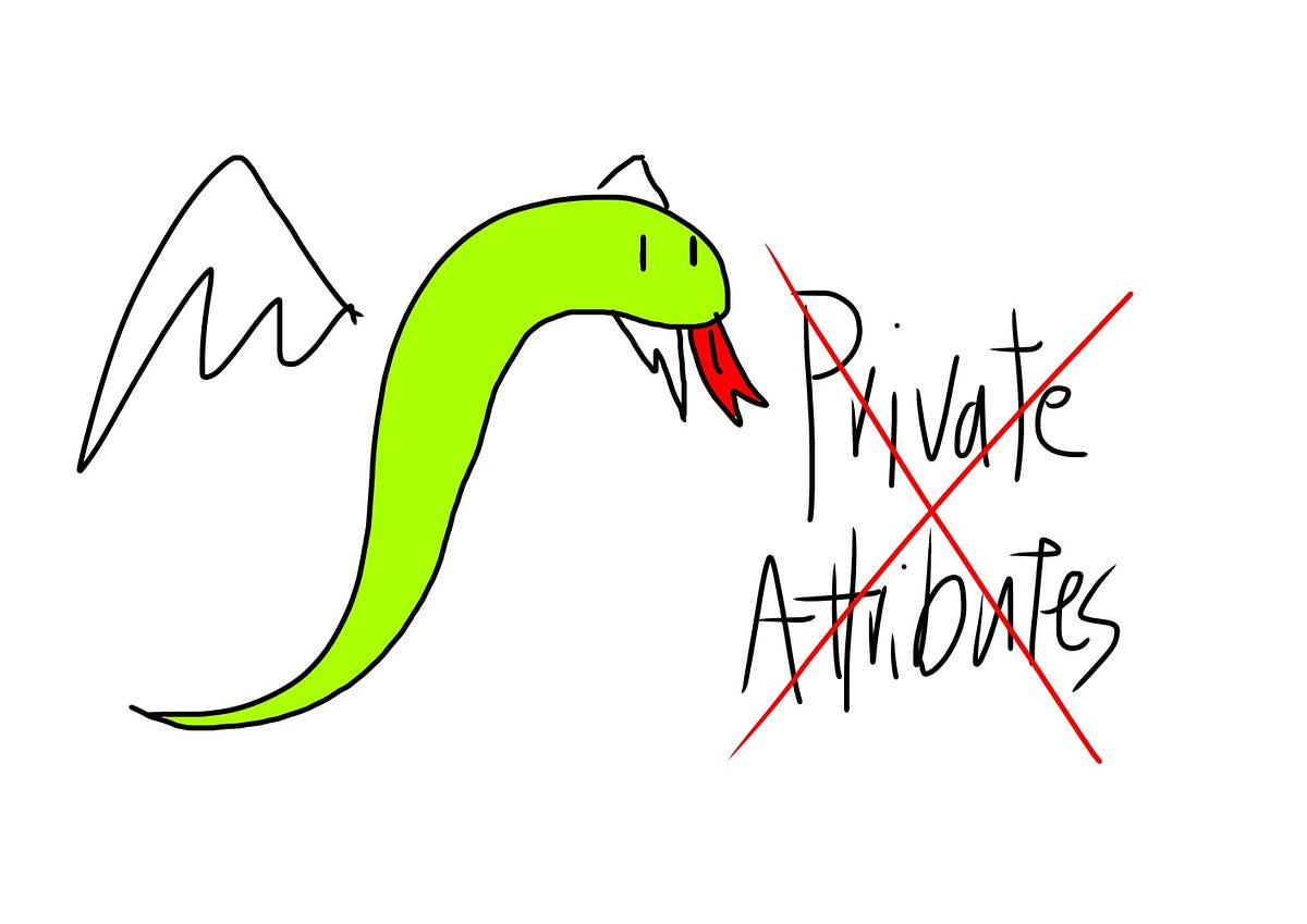 Private Attributes In Python OOP are Not Very Private | by Liu Zuo Lin |  Python in Plain English