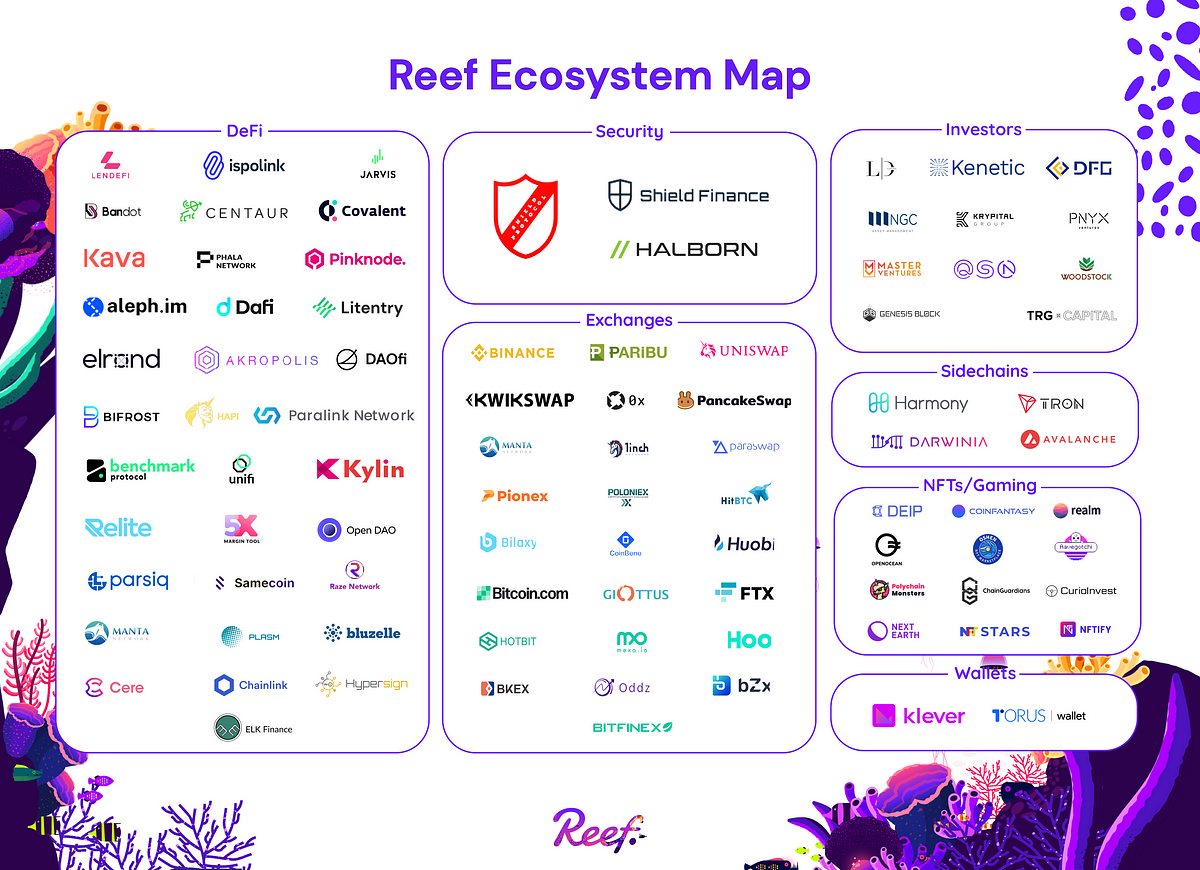 The Reef Chain is expanding rapidly — Reef Ecosystem Map, August 2021 Updates