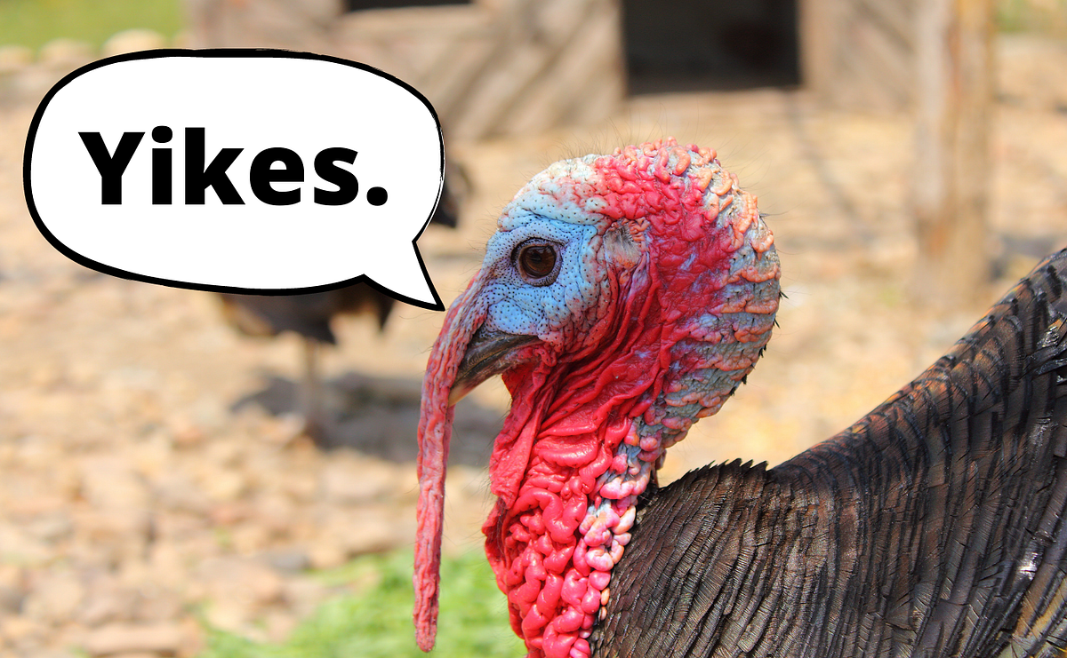 Wait, People Still Cook Stuffing Inside the Bird? by Lara